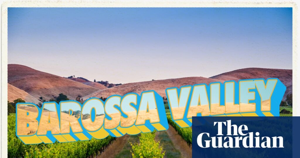 ‘The next generation is coming up’: a local’s guide to the Barossa Valley | Australia holidays