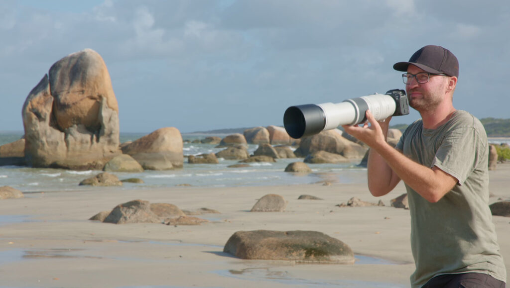 Battle of the Superzooms: Canon RF 100-500mm vs. 200-800mm