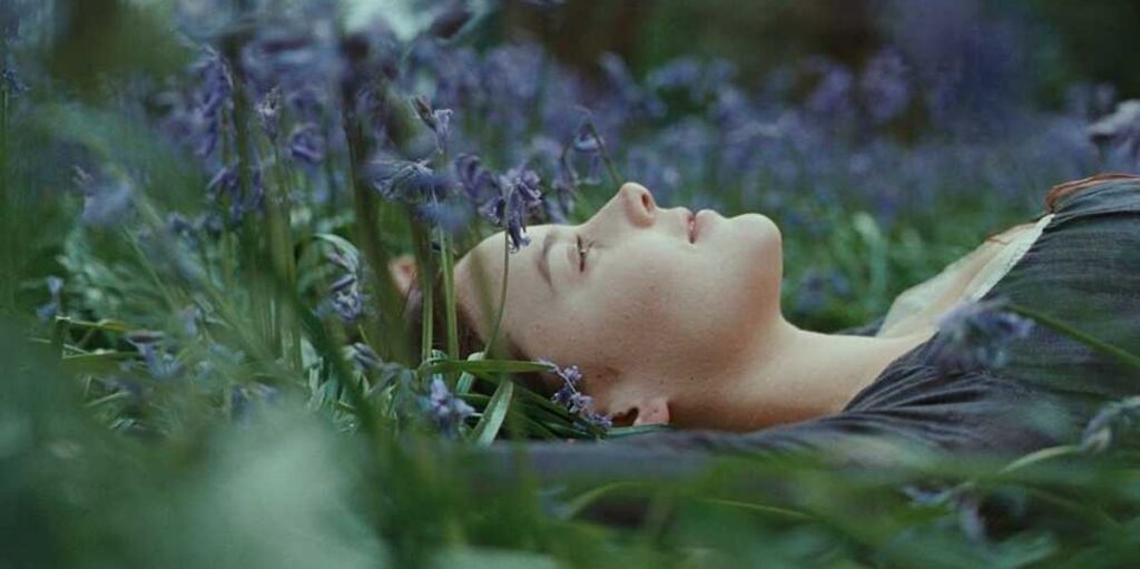 Best Jane Campion Movies, Ranked