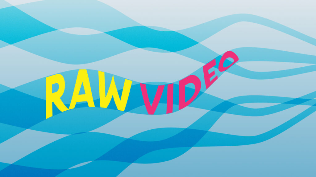 Camera Internal RAW Recording for Video - Hype or Important for Your Workflow?