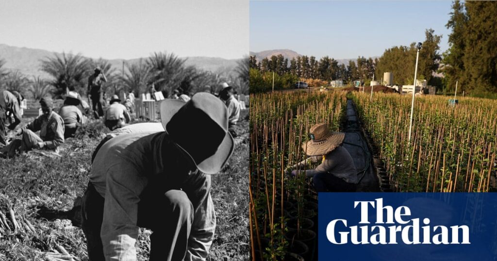 History shows war against immigrants will backfire on all Americans | US economy