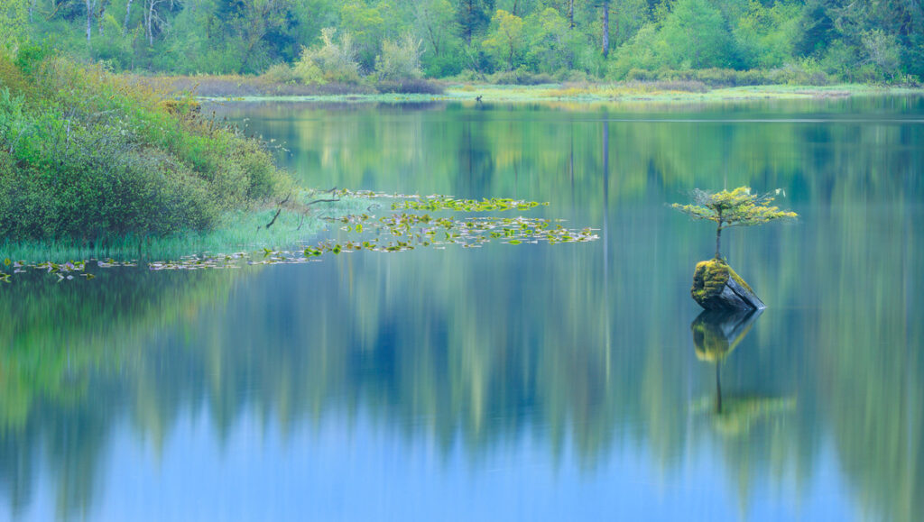 How Content and Meaning Shape Photography Today
