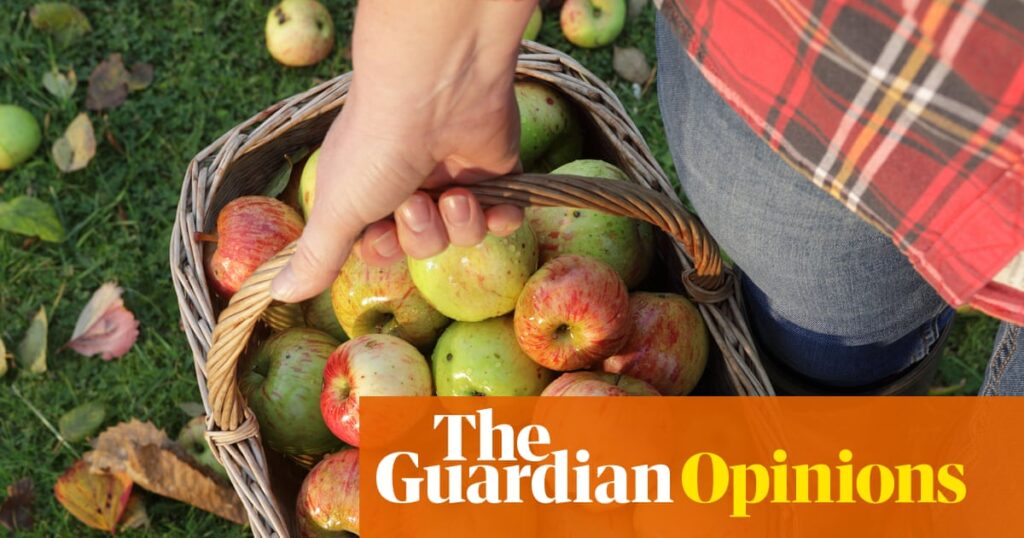My mum died this year. And the glut of apples from her tree has brought with it a new kind of grief | Zoe Williams