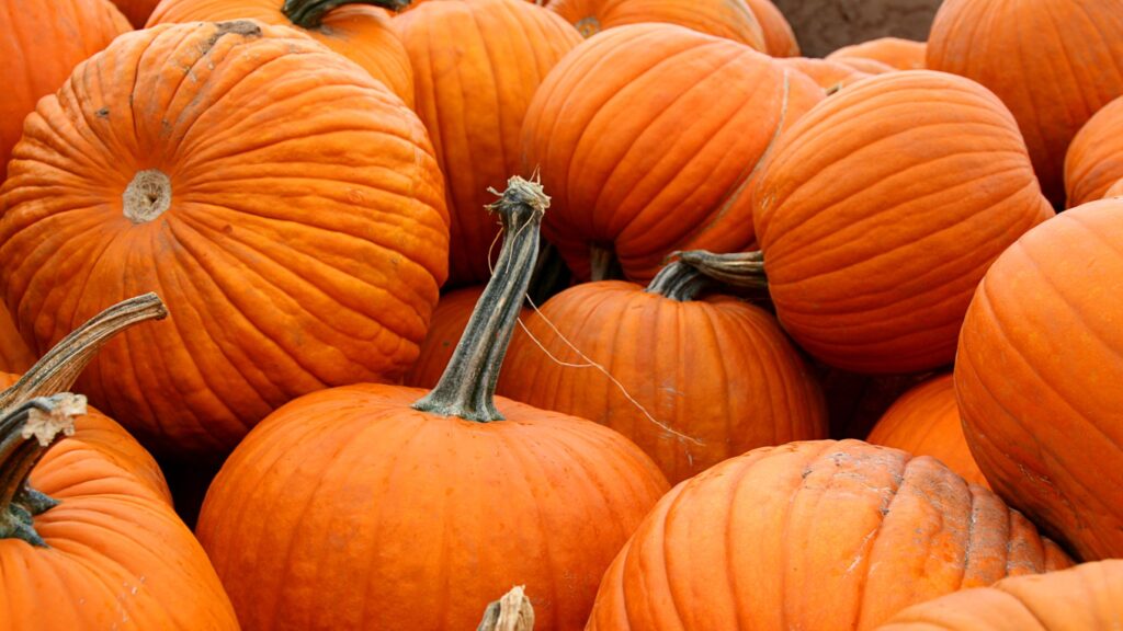 Social Listening Trends for Halloween Marketing | Brandwatch