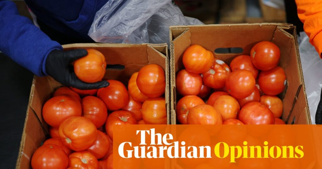 Trump is using the shutdown to make life tougher for millions of workers | Steven Greenhouse Trump is using the shutdown to make life tougher for millions of workers | Steven Greenhouse