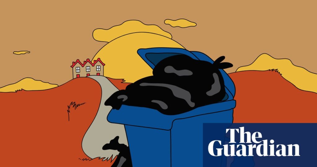You be the judge: should my housemates bring the bins in? | Life and style