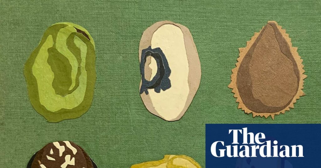 Beans, beans, the magical fruit: how healthy are they really? | Well actually Beans, beans, the magical fruit: how healthy are they really? | Well actually