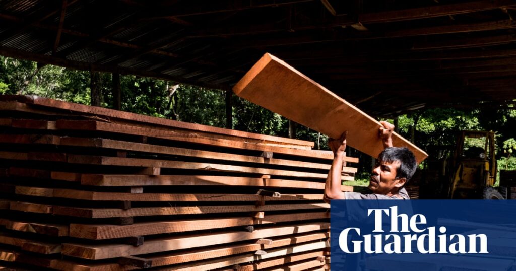 Can wood be good? Green forestry standards demystified, from FSC to SFI | Life and style Can wood be good? Green forestry standards demystified, from FSC to SFI | Life and style