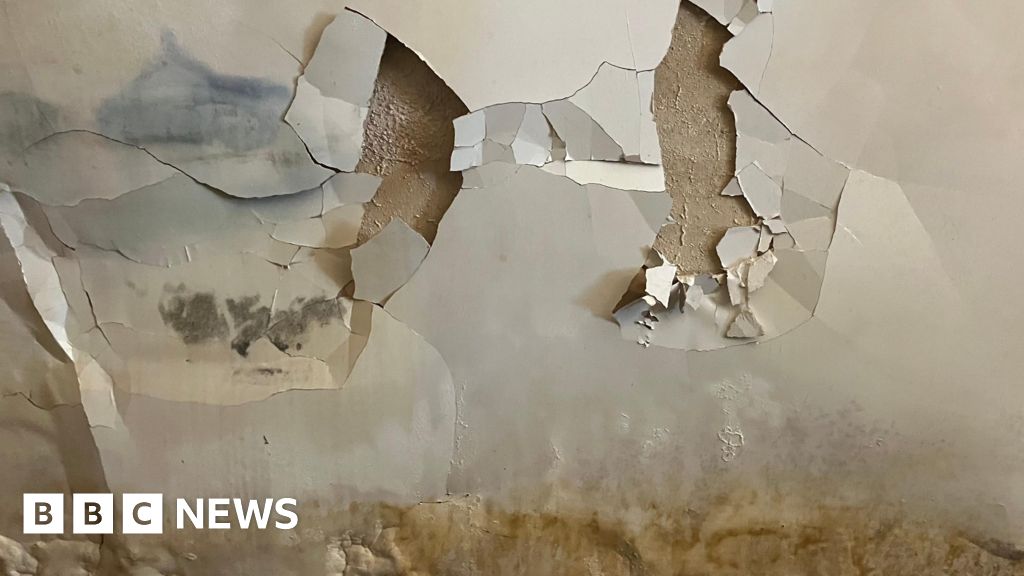 ‘Failings at every level’ led to botched insulation scheme 'Failings at every level' led to botched insulation scheme