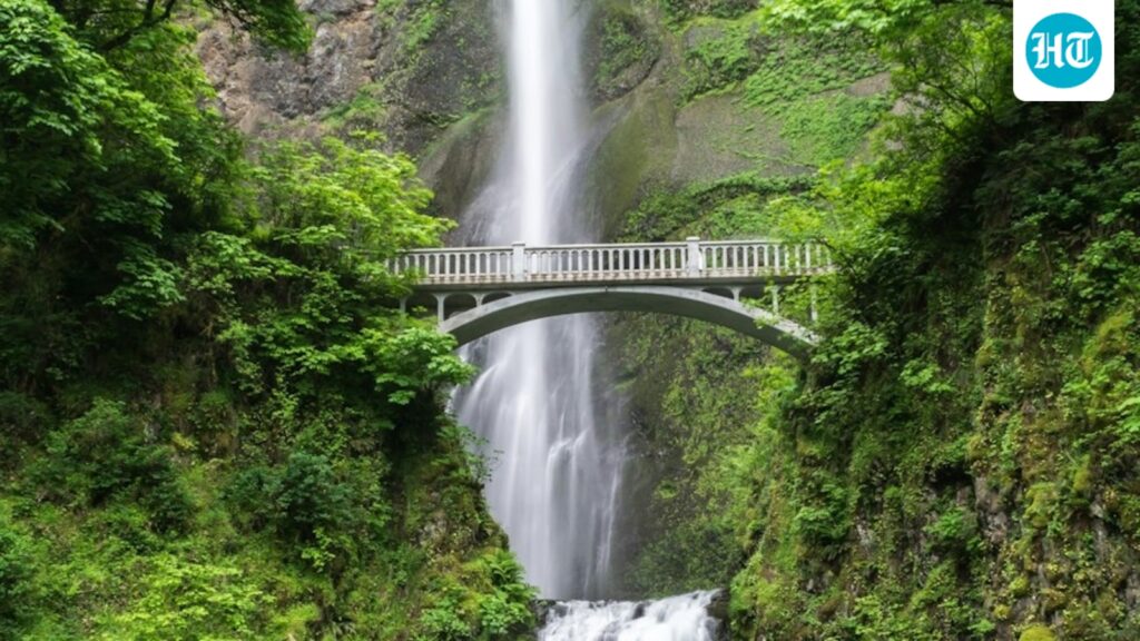 From Shivanasamudra to Dudhsagar: 7 of the most striking waterfalls spread across India From Shivanasamudra to Dudhsagar: 7 of the most striking waterfalls spread across India