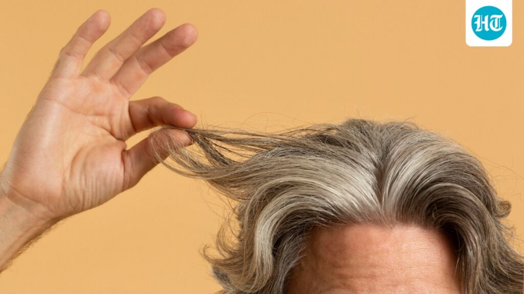Grey hair might reflect a hidden defence that clears damaged cells and lowers melanoma risk, says study Grey hair might reflect a hidden defence that clears damaged cells and lowers melanoma risk, says study