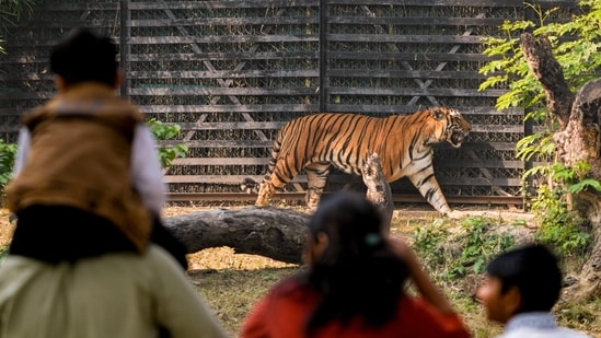 HT City Delhi Junction: Catch It Live on 9 November 2025 Share