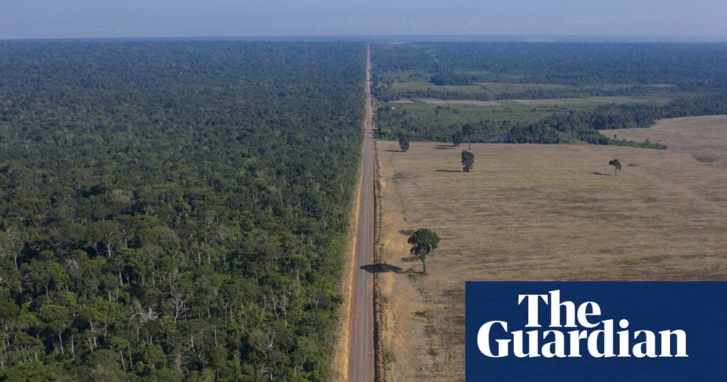 How could Tropical Forest Forever fund proposed at Cop30 tackle deforestation? | Cop30 How could Tropical Forest Forever fund proposed at Cop30 tackle deforestation? | Cop30
