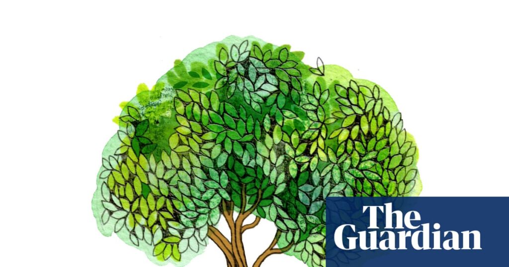 How many trees a day do we cut down for paper? The kids’ quiz | Quiz and trivia games How many trees a day do we cut down for paper? The kids’ quiz | Quiz and trivia games
