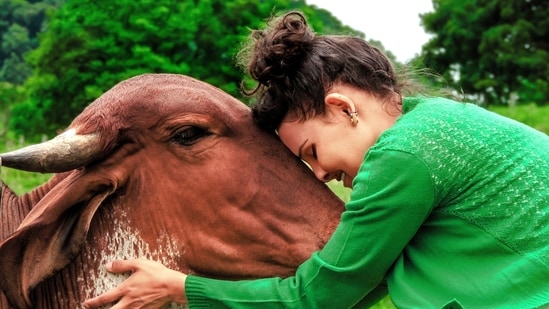 Hug a cow, heal your soul: India’s most unexpected wellness getaway Cricket in L1
