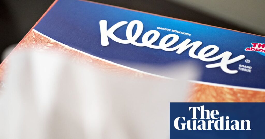 Kimberly-Clark to buy Tylenol maker Kenvue in landmark $40bn merger | Business