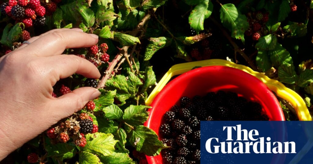 Nine eco-minded gifts that actually make a difference | Gift ideas from the Filter US Nine eco-minded gifts that actually make a difference | Gift ideas from the Filter US