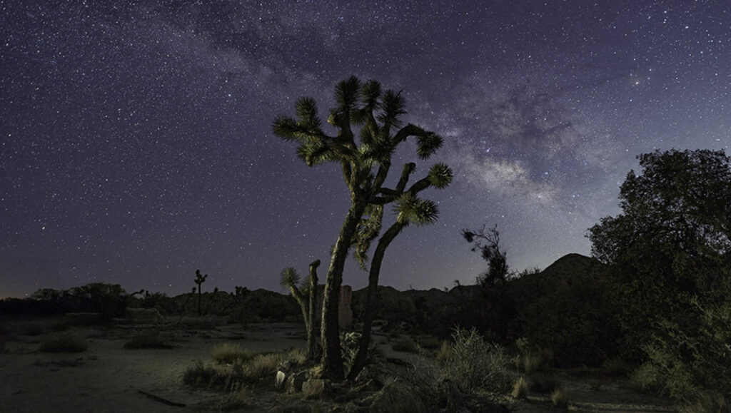 The Most Romantic Night Photo Ever (Thanks to a Flashlight!) The Most Romantic Night Photo Ever (Thanks to a Flashlight!)