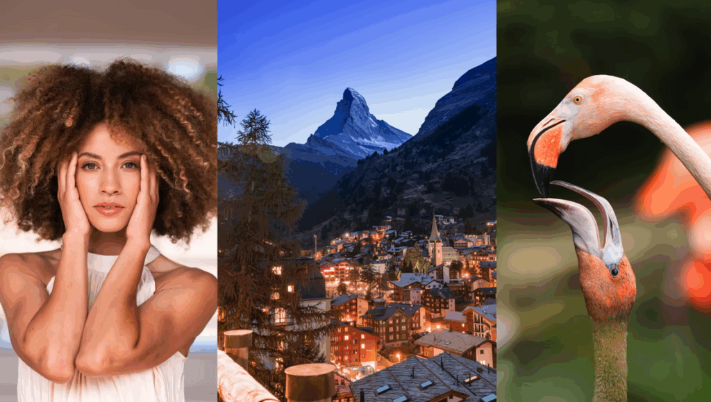 The Real Reason Your Photos Are Not Sharp (And How To Fix It) The Real Reason Your Photos Are Not Sharp (And How To Fix It)