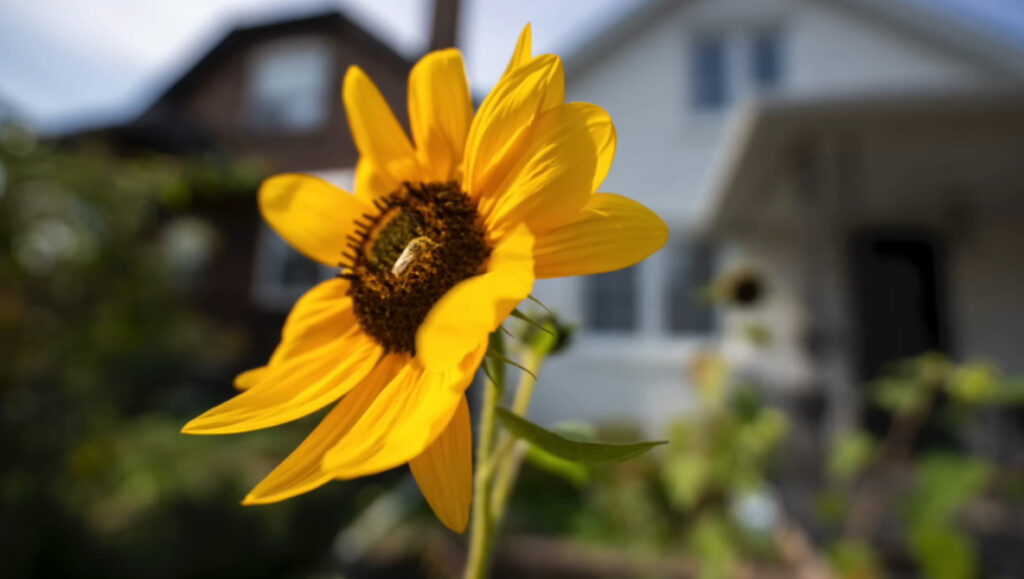 The Tamron 16–30mm f/2.8 vs Sony 16–25mm f/2.8: The Real Tradeoffs The Tamron 16–30mm f/2.8 vs Sony 16–25mm f/2.8: The Real Tradeoffs