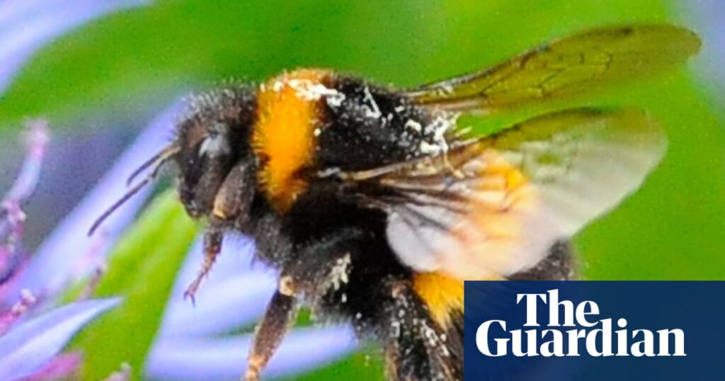 Thursday news quiz: hasty exits, horny bees and naked Nordics | Life and style Thursday news quiz: hasty exits, horny bees and naked Nordics | Life and style