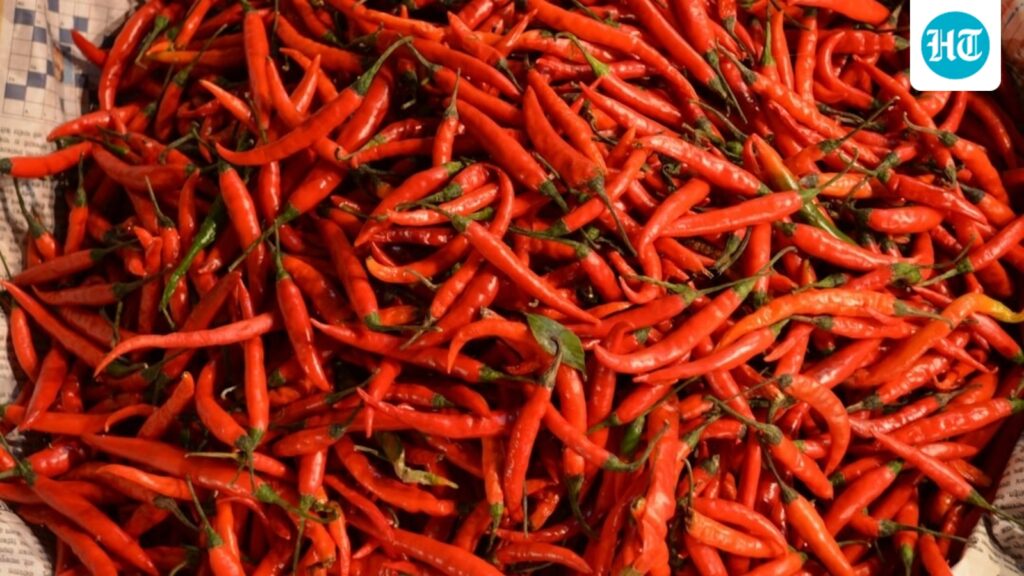 Why humans love spicy food even when it burns: Science behind our obsession with chillies Why humans love spicy food even when it burns: Science behind our obsession with chillies