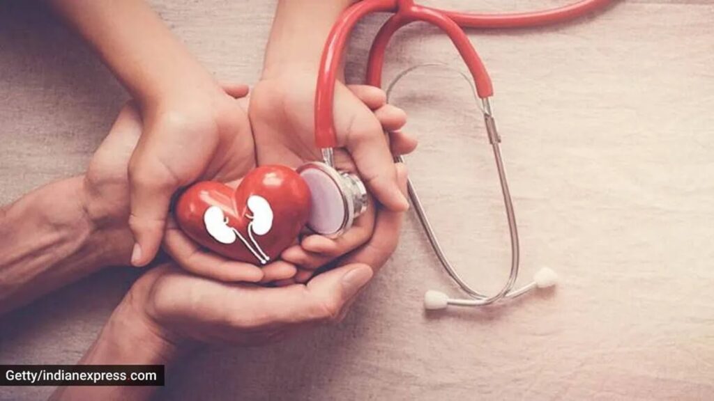 ‘Can kidney damage be detected through a blood test or is imaging (ultrasound, CT scan) necessary?’ | Health News kidneys