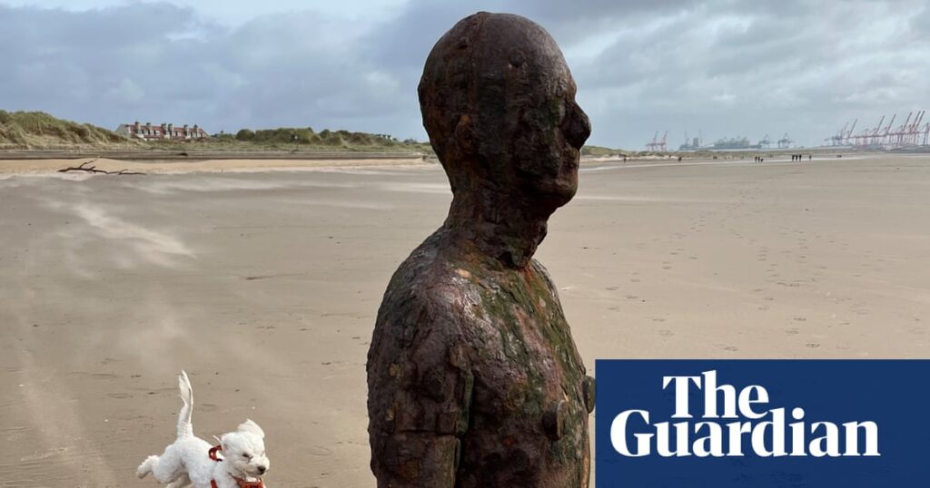 ‘When I saw what I captured I felt a Muybridge-like joy’: Roger Tooth’s best phone picture | Photography ‘When I saw what I captured I felt a Muybridge-like joy’: Roger Tooth’s best phone picture | Photography