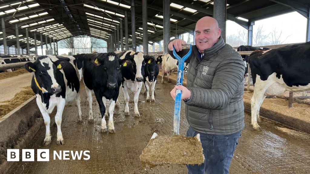 How many UK homes could be heated from cow manure? How many UK homes could be heated from cow manure?