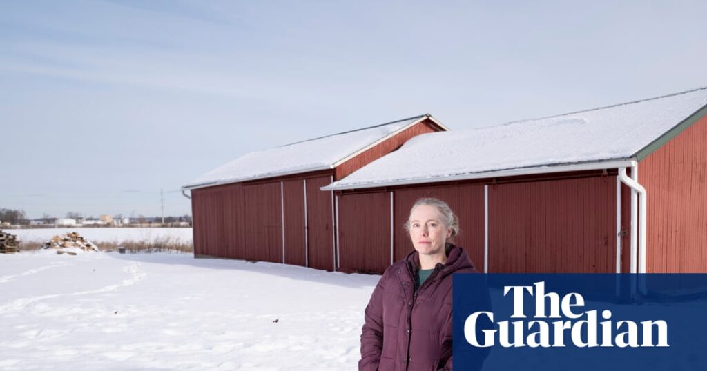 ‘Uniquely evil’: Michigan residents fight against huge data center backed by top tycoons | Michigan ‘Uniquely evil’: Michigan residents fight against huge data center backed by top tycoons | Michigan